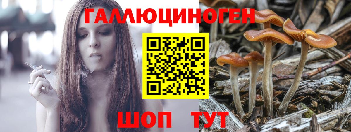 Сыктывкар  Галлюциногенные грибы MAGIC MUSHROOMS  Галлюциногенные грибы MAGIC MUSHROOMS  Вход с VPN 
